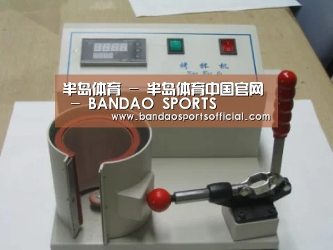 半岛体育案例展示六