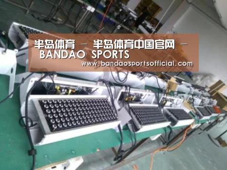 半岛体育案例展示一(图1)