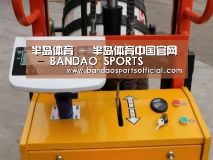 半岛体育案例展示三(图1)