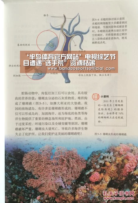 ‘半岛体育官方网站’电视综艺节目遭遇选手荒 资源枯竭(图2) 半岛体育官网