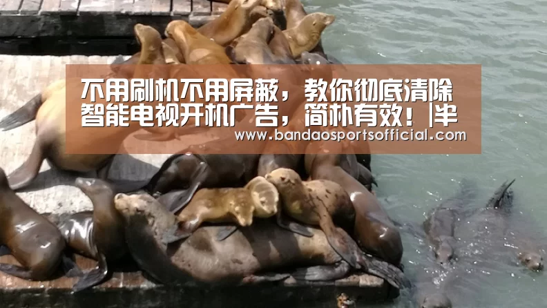 半岛体育平台