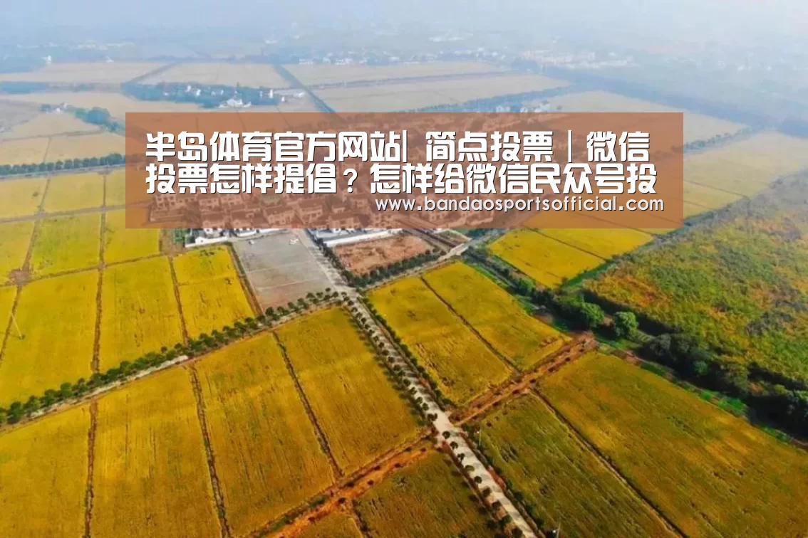 半岛体育官方网站|
简点投票|微信投票怎样提倡?怎样给微信民众号投票设置广告?(图3) 半岛体育官方网站