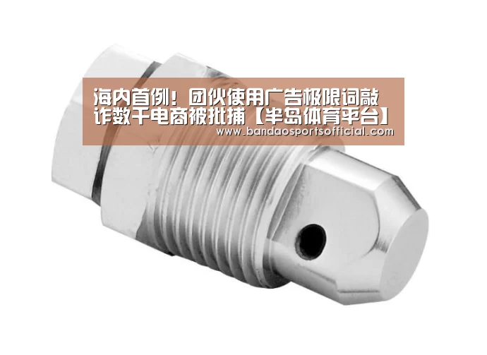 海内首例!团伙使用广告极限词敲诈数千电商被批捕【半岛体育平台】(图1) 半岛体育平台