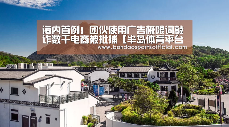 海内首例!团伙使用广告极限词敲诈数千电商被批捕【半岛体育平台】(图3) 半岛体育平台