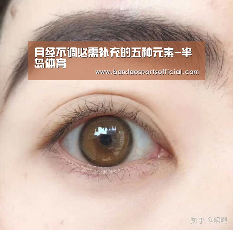 半岛体育官方网站