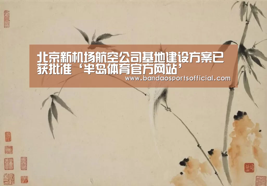 北京新机场航空公司基地建设方案已获批准‘半岛体育官方网站’(图2) 半岛体育官网
