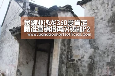 金融业沙龙360受肯定 精准营销将再次铸就P2P辉煌-半岛体育官网(图2) 半岛体育平台