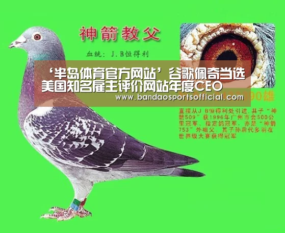 半岛体育平台