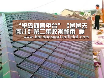 “半岛体育平台”《爸爸去哪儿》第二集收视翻番 爱奇艺PPS全网播放领先(图2) 半岛体育平台