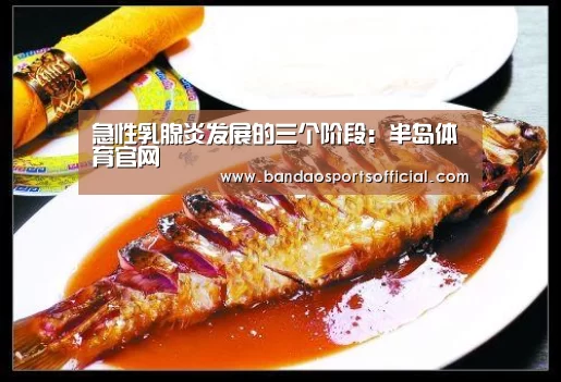 半岛体育平台