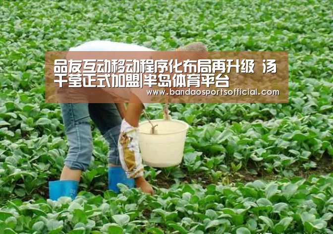 品友互动移动程序化布局再升级 汤千莹正式加盟|半岛体育平台(图2) 半岛体育官方网站