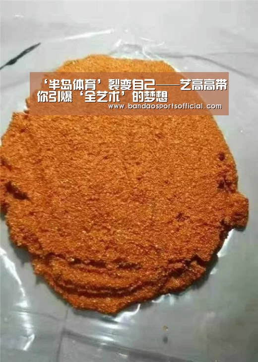 ‘半岛体育’裂变自己——艺高高带你引爆‘全艺术’的梦想(图2) 半岛体育官方网站