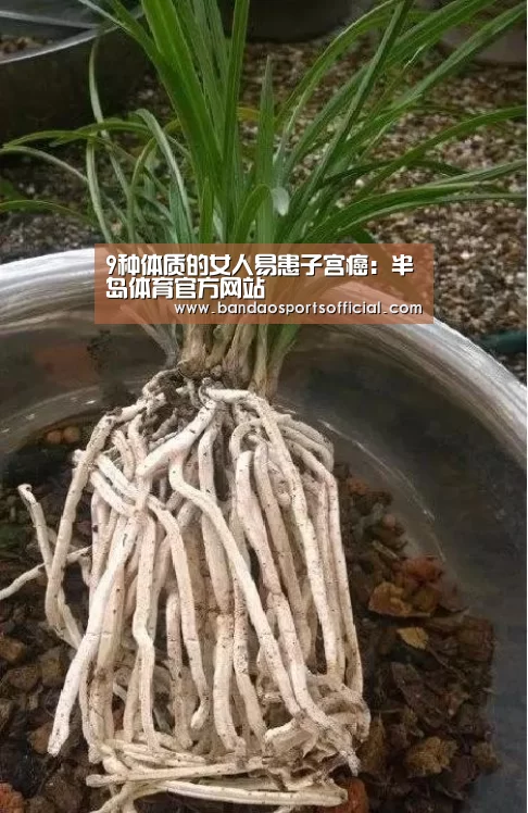 9种体质的女人易患子宫癌:半岛体育官方网站(图1) 半岛体育官网