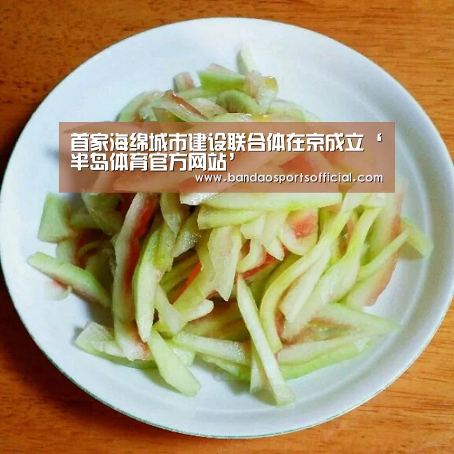 首家海绵城市建设联合体在京成立‘半岛体育官方网站’(图1) 半岛体育官方网站