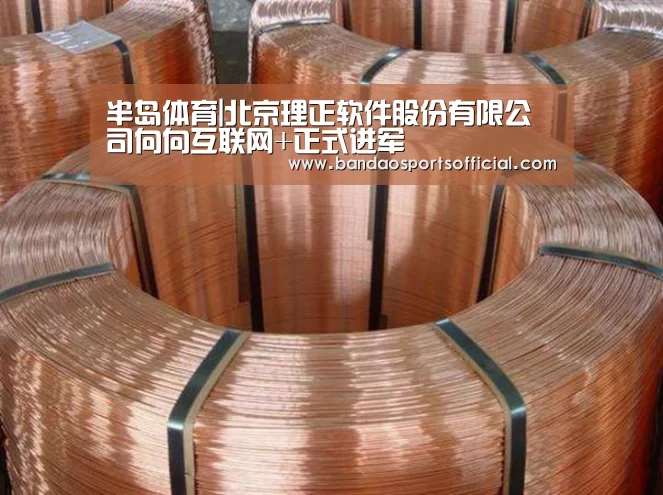 半岛体育|北京理正软件股份有限公司向向互联网+正式进军(图3) 半岛体育
