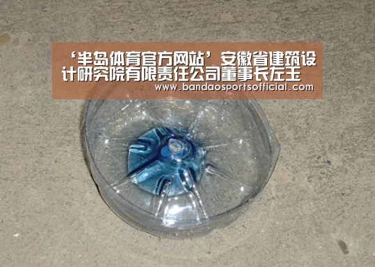 ‘半岛体育官方网站’安徽省建筑设计研究院有限责任公司董事长左玉琅参加省国资运营公司年中工作汇报会(图1) 半岛体育官方网站