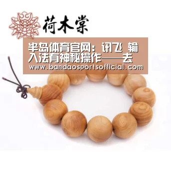 半岛体育官网:讯飞 输入法有神秘操作——去广告(图1) 半岛体育官网