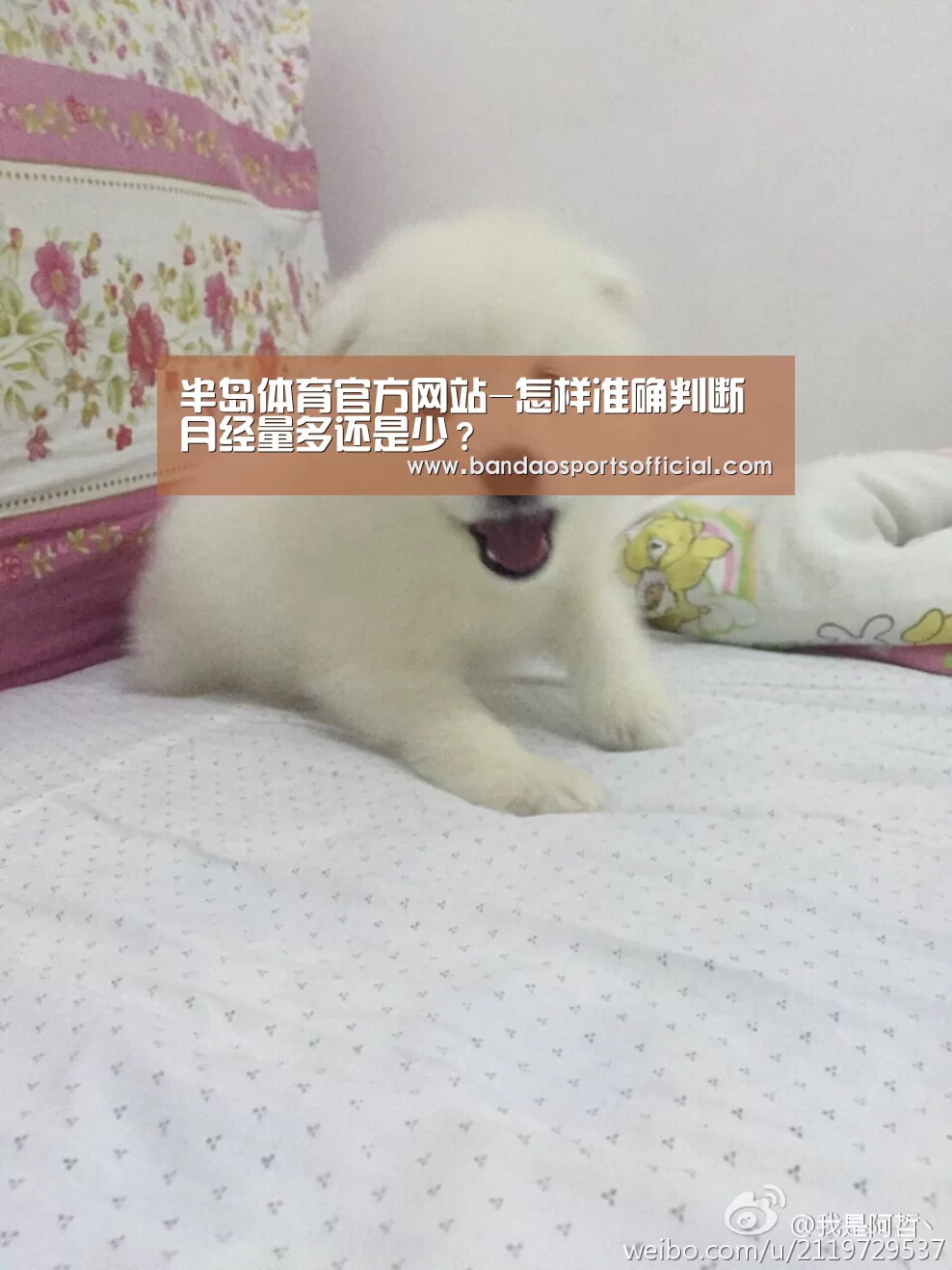 半岛体育官方网站-怎样准确判断月经量多还是少?(图1) 半岛体育
